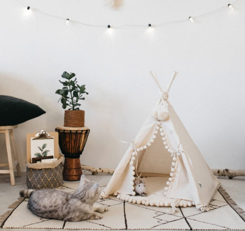Cat Tent Bed