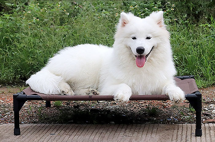 Pet bed dog moisture-proof removable washable stack