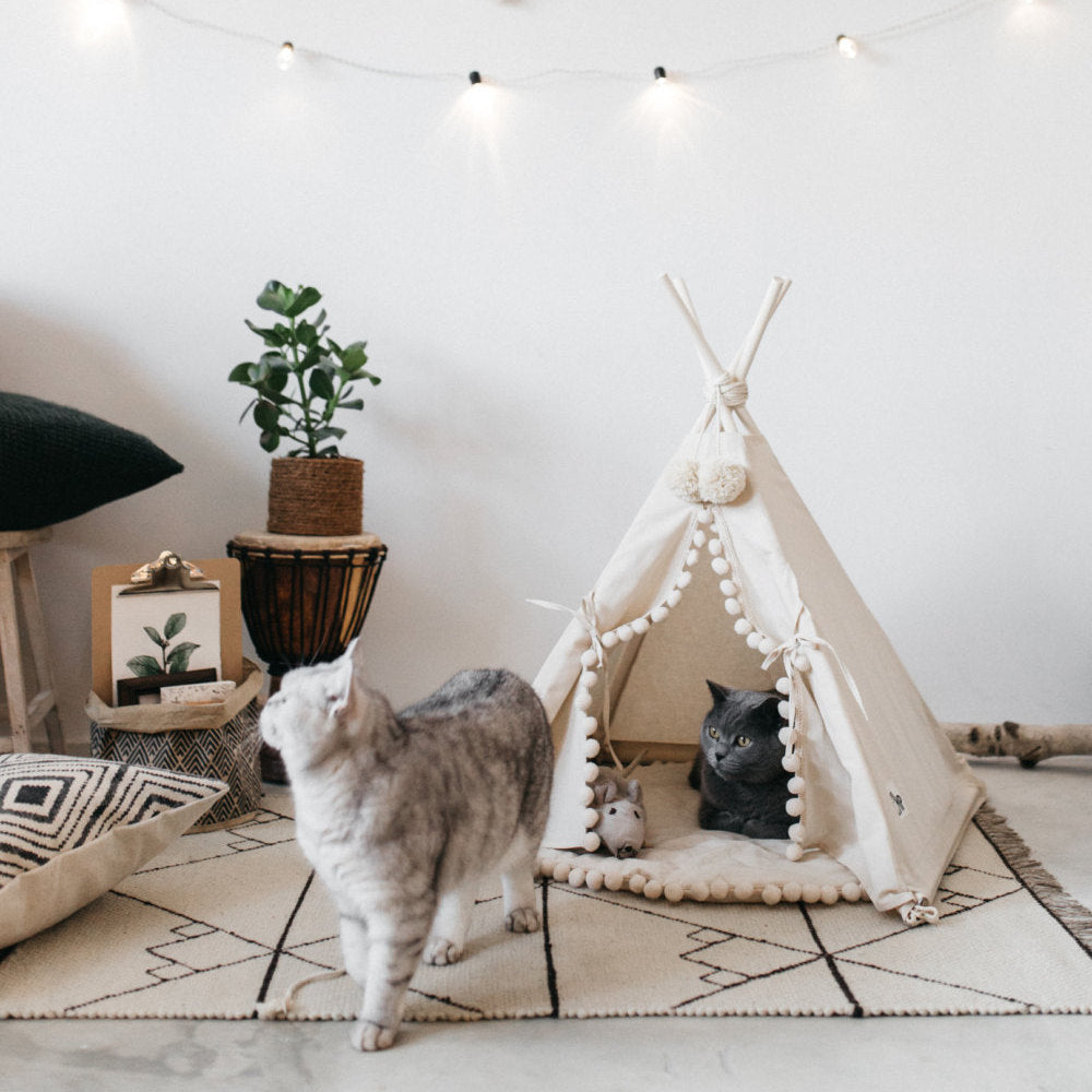 Cat Tent Bed