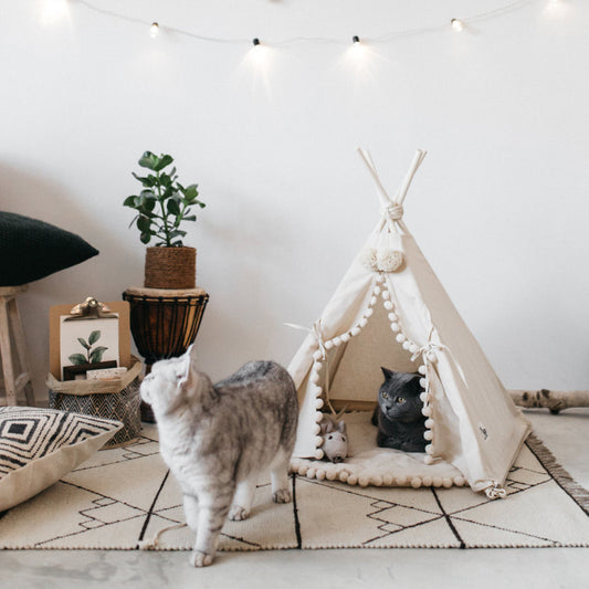 Cat Tent Bed